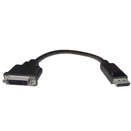 UPC: 0808447048834 | 8IN DISPLAYPORT M TO DVIF CABLE ADAPTER CABLE LIFETIME WARRANTY