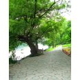 thumbnail image 1 of BSDHOME Polyester Vert Arbre Fleurs Photographie Arrière-Plans Photo Accessoires Studio Fond 5x7ft, 1 of 2