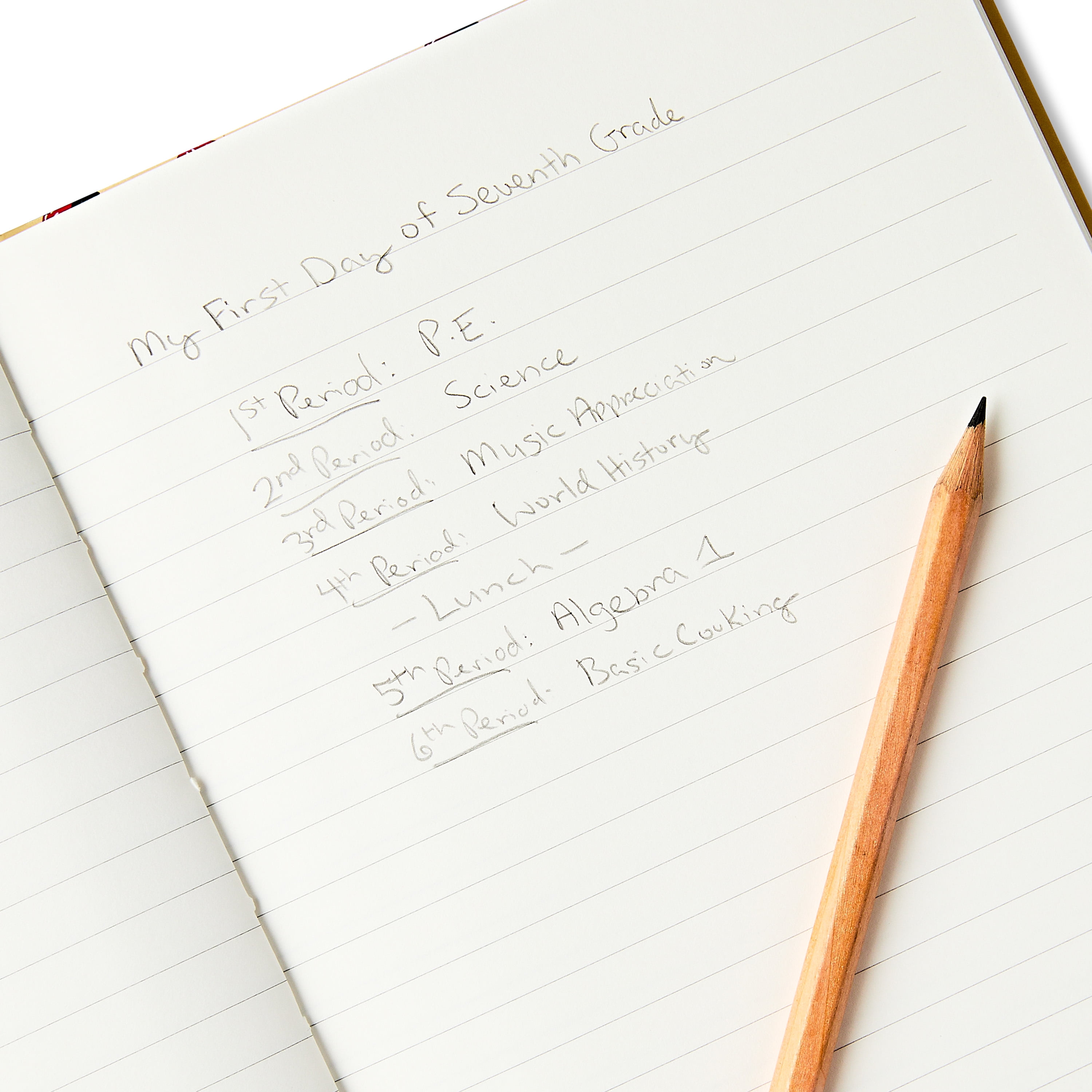 Pen+Gear Red Strawberry Journal, 6 in x 8.5 in, 200 Ruled Pages