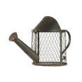 thumbnail image 1 of Metal Watering Can, 15 x 9.5 x 7 in., 1 of 1