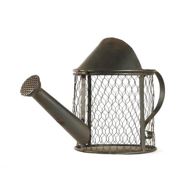 Metal Watering Can, 15 x 9.5 x 7 in.