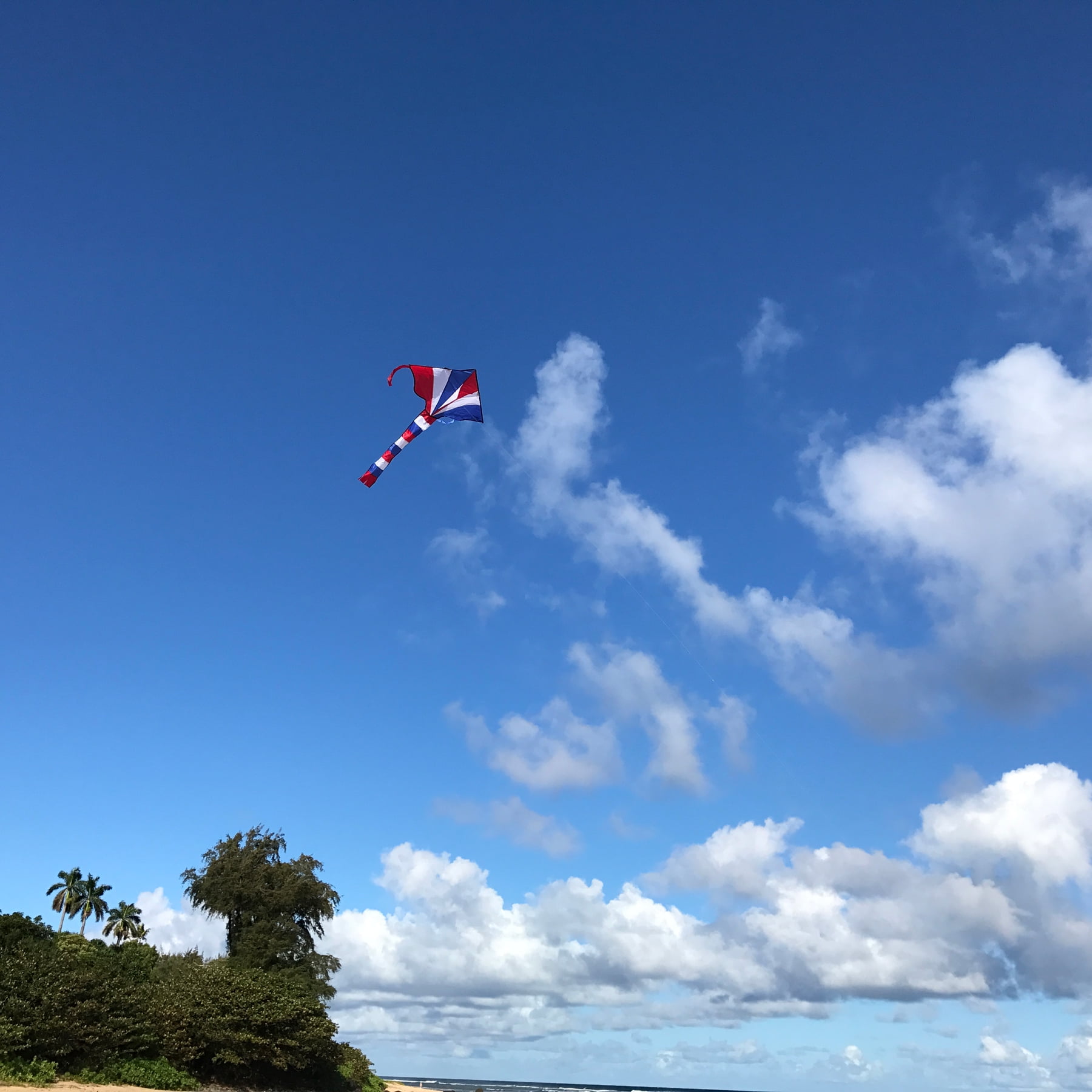amousa Kite Launch-er Toys With Kite Toy Set, 2023 New Kids Kite