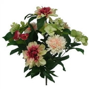Better Homes & Gardens Pink & Green Mixed Dahlia & Hydrangea Bush, 1 Each