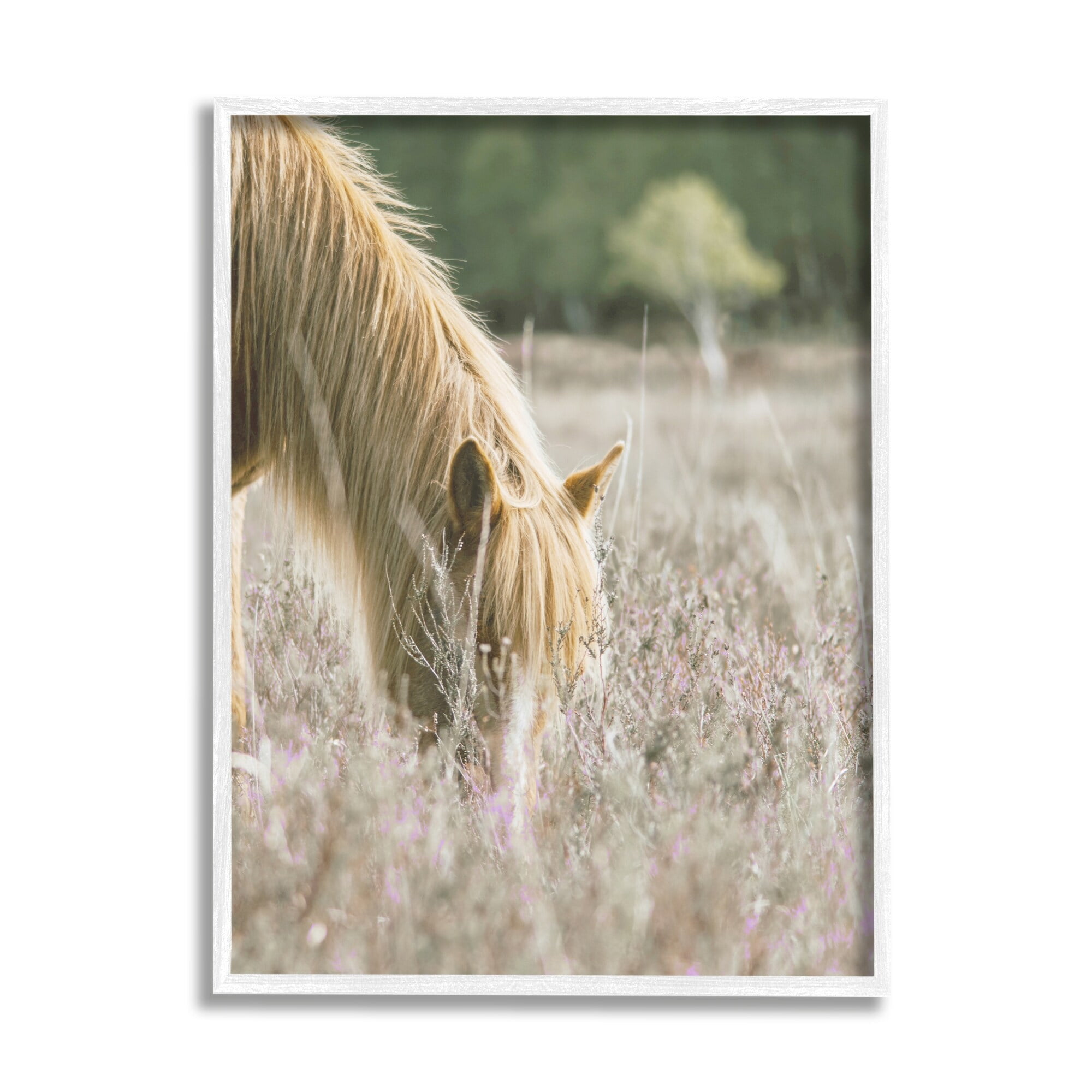 Stupell Industries Peaceful Palomino Horse Grazing Countryside Meadow Photography White Framed Art Print Wall Art, 11x14, by Leah Straatsma