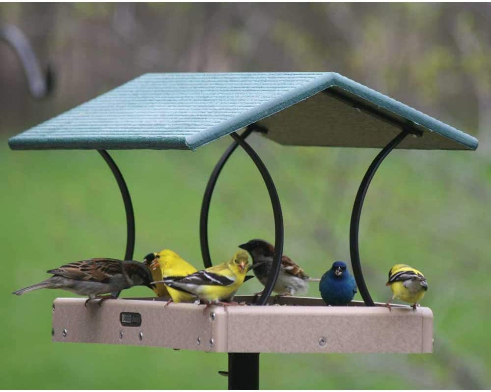Birds Choice Green and Beige Fly-Thru Platform Bird Feeder