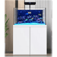 AquaDream AllInOne Coral Reef Aquarium 100 Gallon Fish Tank Complete Setup