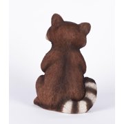Racoon Holding Acorn
