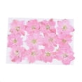 thumbnail image 5 of Matsuzay 12 piezas de flores secas, espécimen prensado teñido Natural en gran comodidad, suministros para álbumes de recortes para carcasa de Type2 NO2, 5 of 5