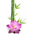 thumbnail image 1 of Wallmonkeys Flower of Lotus and Bamboo Peel and Stick Wall Decals WM238743 (31 in W x 48 in H), 1 of 4
