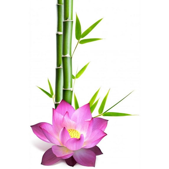 Wallmonkeys Flower of Lotus and Bamboo Peel and Stick Wall Decals WM238743 (31 in W x 48 in H)