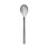 Solid Spoon