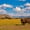 Bison In National Park, variant on Elephant Stock Bison Mountain Landscape Wall Art - Horizontal Multi Panel Canvas - Living Room Wall Decor - Animal Multi Panel - Brown And Blue Decor - 33" x 20"