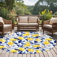 thumbnail image 4 of Round Rugs 5Ft, Summer Lemon Round Area Rug Washable Indoor Throw Carpet, Watercolor Yellow Blue Garden Floral Soft Non Slip Circle Rug for Cabinet Bathroom Home Decor Aesthetic, 4 of 8