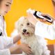 thumbnail image 4 of 1 Pieza Eléctrica Animal Mascota Perro Gato Recortadora de cabellero Afeitadora Aseo Cortadora Silenciosa Yinane Recortador de cabello Clippers de aseo, 4 of 8