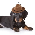thumbnail image 6 of Pet Dog Cowboy Hat with Adjustable Chin Strap, Creative Jazz Fedora Cap Headwear for Puppies Small Medium Dogs and Cats, Funny Costume Birthday Party Cosplay Photo Shoots Apparel, 6 of 7