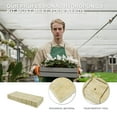 thumbnail image 3 of CTIRCHIU 42pcs Hydroponic Planting Stones Garden Light Yellow for Nursery Block, 3 of 8