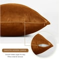 thumbnail image 3 of Soft Velvet Throw Pillow Covers 18x18 inches Burnt Orange, Solid Square Cushion Cases with Hidden Zipper Holiday Decorative for Bedroom Bed/Sofa/Bench/Car/Living Room, Pack of 2, 3 of 6