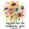 thumbnail image 3 of CafePress - Wildflowers - Cotton Baseball Jersey, 3/4 Raglan Sleeve Shirt, 3 of 4