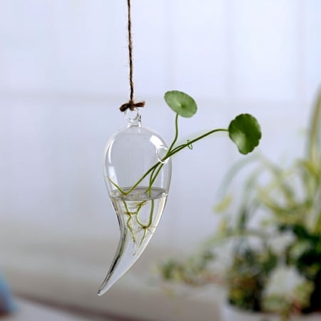 Douhoow Home Planters Clear Glass Flower Plant Stand Hanging Vase Ball Terrarium Container