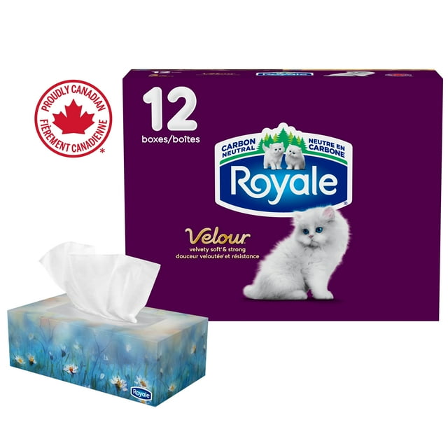 Royale Velour, 3 Ply Facial Tissue, 12 Flat Boxes, 82 Tissues per Box