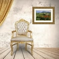 thumbnail image 3 of Rotenberg, Nancy 14x11 Gold Ornate Wood Framed with Double Matting Museum Art Print Titled - CO, Crested Butte Wildflowers in mountain garden, 3 of 4