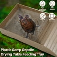 YBWZH Automatic Feesers Tortoise Water Dish Reptile Water Food Bowls