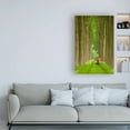 thumbnail image 3 of Trademark Fine Art 'Two Umbrellas, Belgium' Canvas Art by Alan Klu, 3 of 3