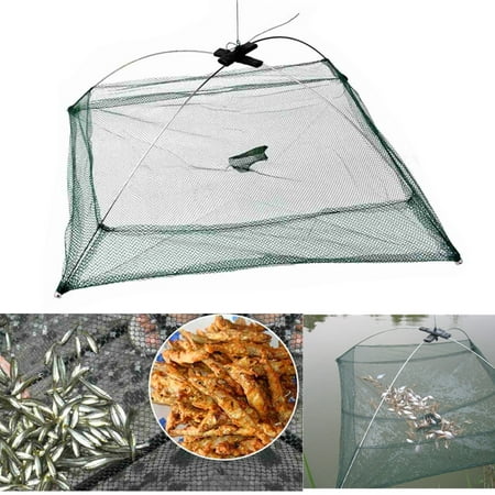 24''x24'' Umbrella Crab Shrimp Trap Cast Dip Cage Bait Cast Lures Fishing Net for Fishermen Minnows Green Silver (Best Fishing Trips In The Us)
