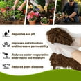 thumbnail image 3 of Tutuviw10oz Rotting Pine Needles Mulch for Orchid,Natural Mulch for Potted Plants,Premium Pine Needle Mulch for Garden Landscaping Orchid Potting Mix for Indoor Outdoor Potted Plants, 3 of 6