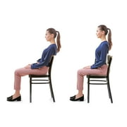Evertone Bk4382 Posture Pro Lumbar Support