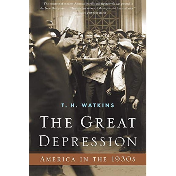 Pre-Owned The Great Depression: America in the 1930s Paperback