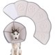 thumbnail image 1 of Collar cónico de protección antimordeduras para perros, gatos y cachorros. Collar cónico protector contra lesiones. Collar de recuperación ajustable con velcro., 1 of 5