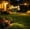 Blue, variant on ChicYu Solar Cherry Blossom Garden Light Outdoor Waterproof Fiber Optic LED Stake Lamp for Yard Patio Lawn Landscape Floral Decor - Luz Solar Flor Jardín