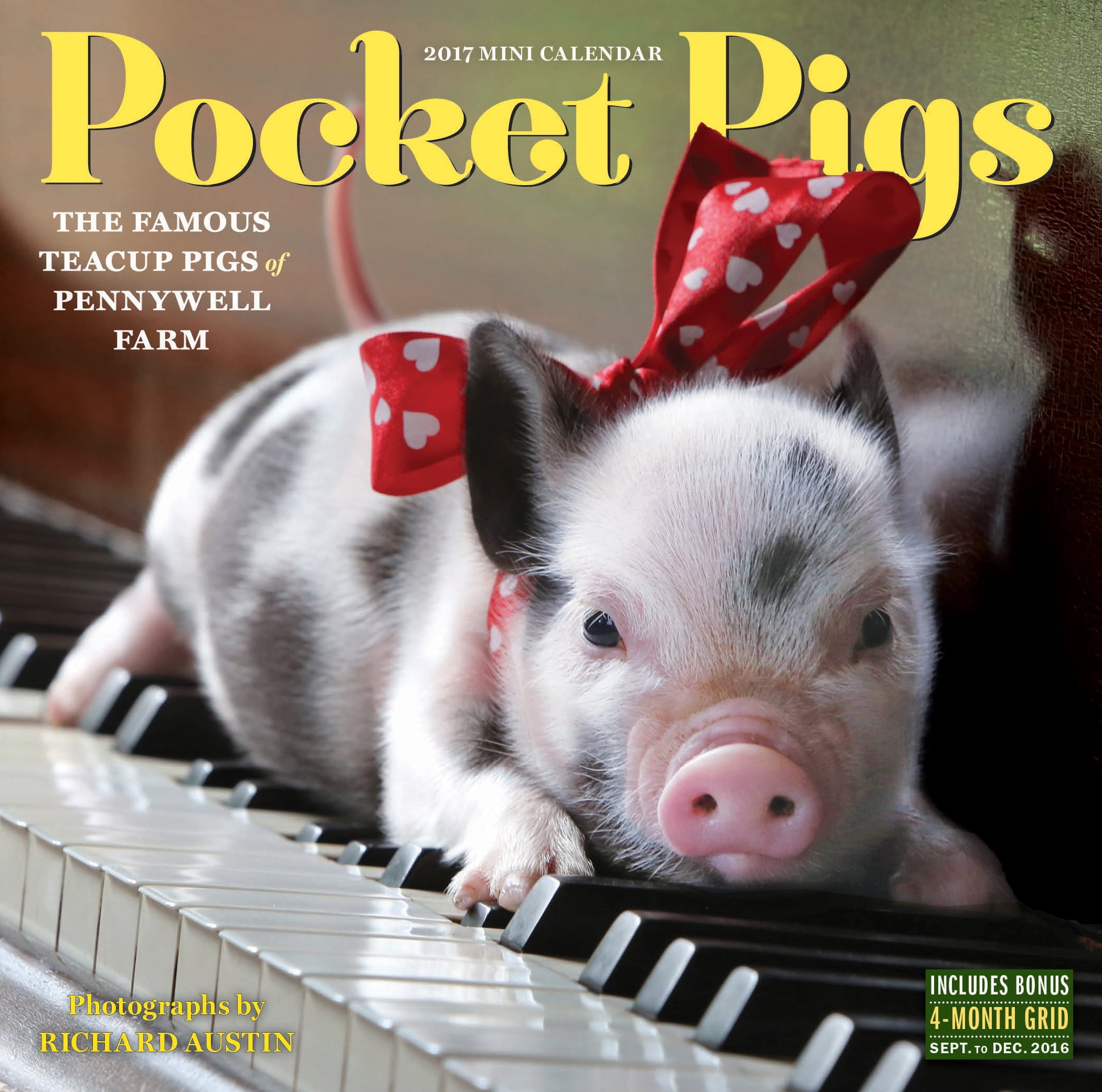 Pocket Pigs Mini Wall Calendar 2017 The Famous Teacup