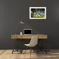 thumbnail image 3 of Hausenflock, Alan 24x17 White Modern Wood Framed Museum Art Print Titled - Windswept Barrier Island, 3 of 4