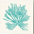 thumbnail image 4 of Great Art Now Pacific Sea Mosses Aqua by Wild Apple Portfolio 4 Piece Canvas Art Set Each 14"W x 14"H, 4 of 5