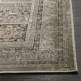 thumbnail image 6 of SAFAVIEH Vintage Zen Traditional Area Rug, Mouse, 7'6" x 10'6", 6 of 9