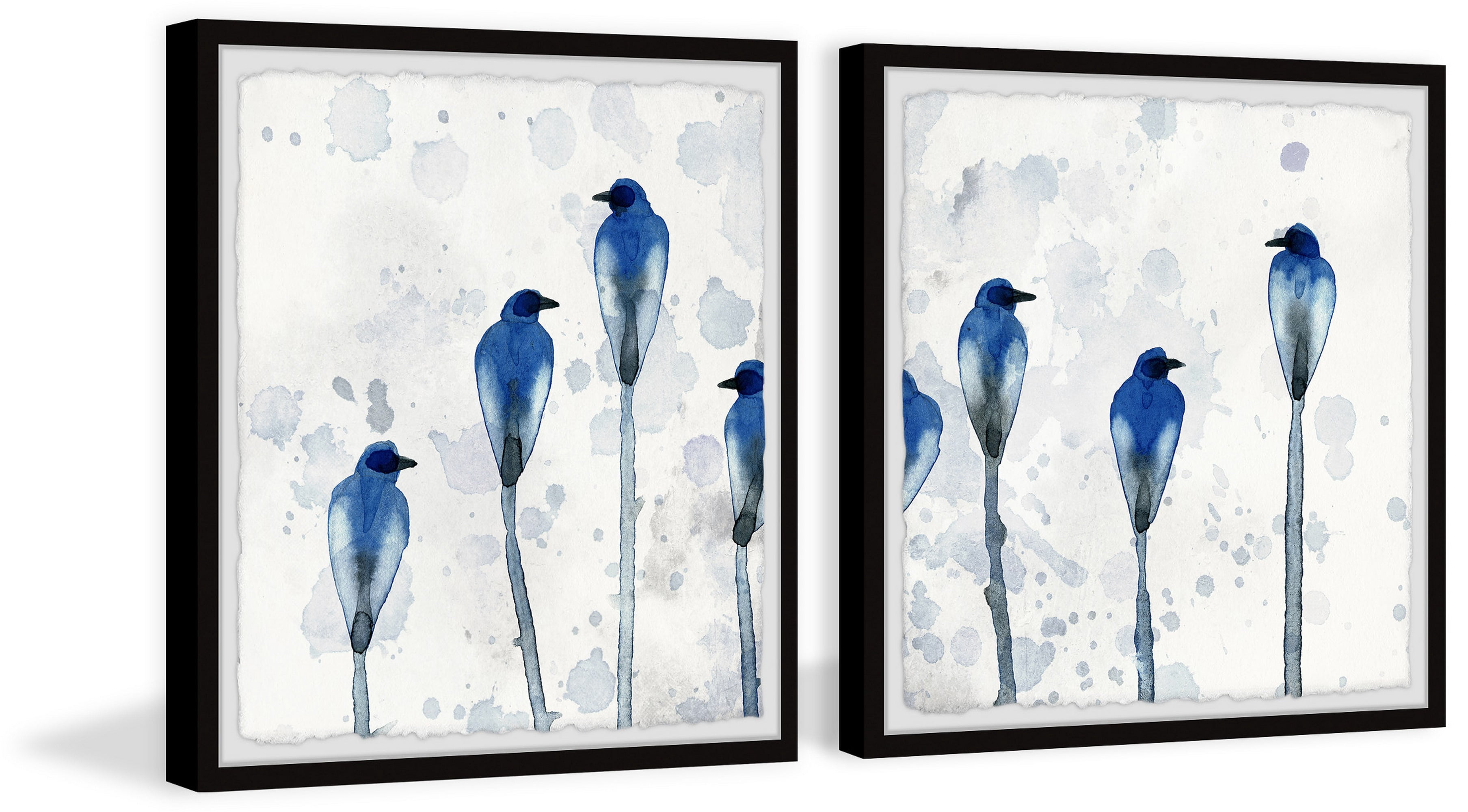 Marmont Hill Birds Framed Art Prints, Set of 2, by Parvez Taj