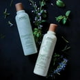 thumbnail image 5 of Aveda Rosemary Mint Purifying Shampoo & Weightless Conditioner 8.5 oz (Pack of 2), 5 of 5