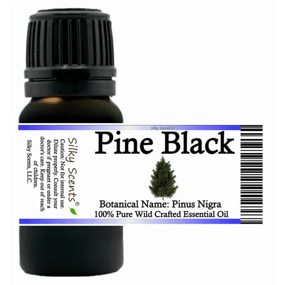 Pine Black Wild Crafted Essential Oil 5 ml (1/6 fl oz) - 100% Pure and Natural by Silky Scents