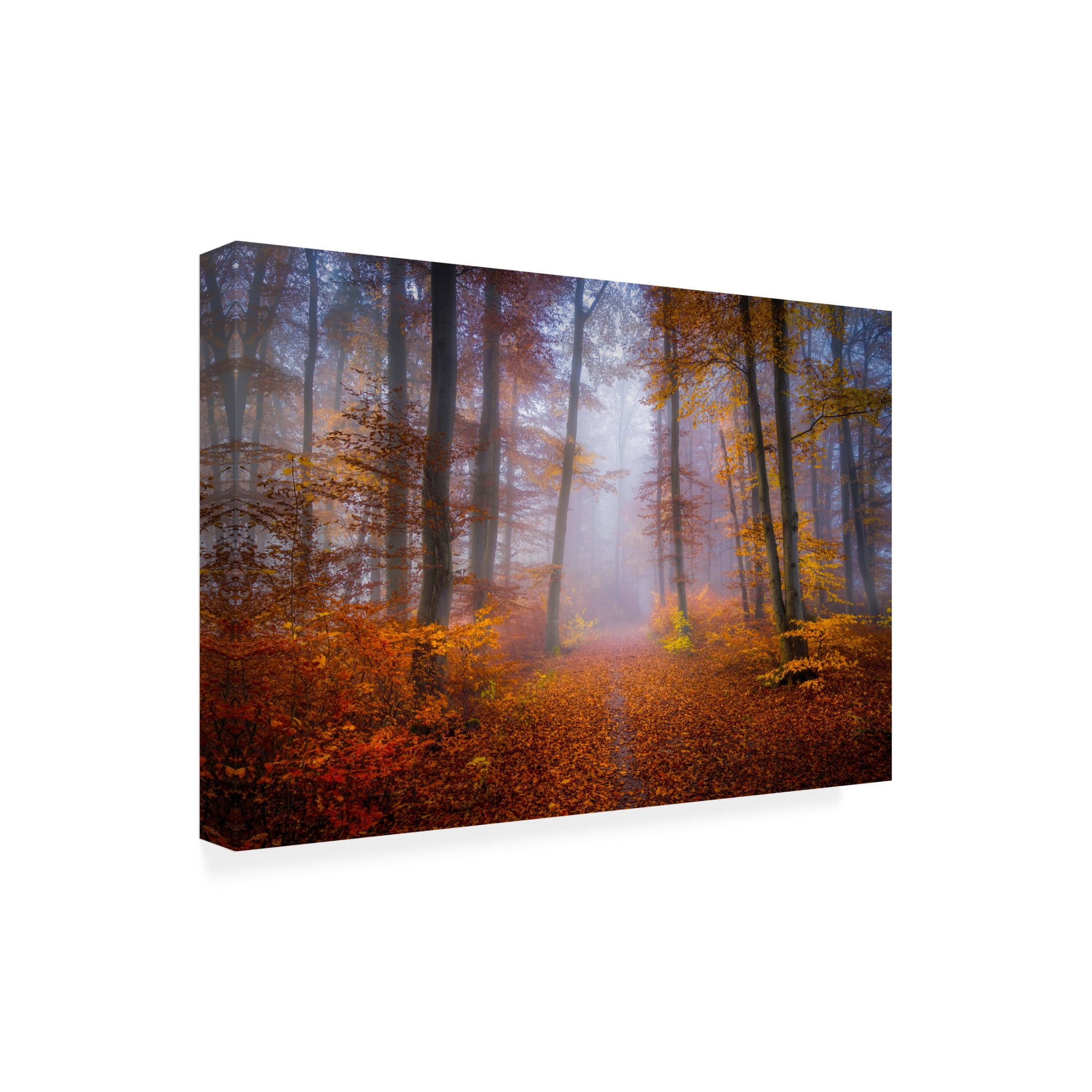 Canvas Wall Art - Norbert Maier 'October Trail' Wall Art for Living Room, Bedroom, or Office Décor by Trademark Fine Art - 19 x 12 Inches
