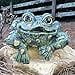 thumbnail image 3 of Toad Hollow Shelf-Sitter Statue, Large, 3 of 4