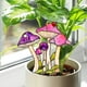 thumbnail image 3 of Maceta 3D con flores para enchufar | Diseño infantil | Minijardín de musgo con suculentas | Resina resistente al agua y al óxido | Uso en interiores y exteriores | Adorno para el hogar y la oficina, 3 of 5