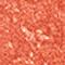 Corallina
