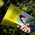 thumbnail image 3 of The New Stokes Field Guide to Birds: Eastern Region, (Paperback), 3 of 7