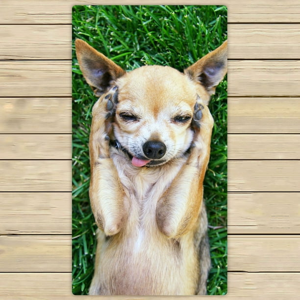 YKCG Funny Animals Cute Chihuahua Dog Paw on Head Hand Towel Beach Towels Bath Shower Towel Bath Wrap For Home Outdoor Travel Use 30x56 inches - YKCG Funny Animals Cute Chihuahua Dog Paw on Head Hand Towel Beach Towels Bath Shower Towel Bath Wrap For Home Outdoor Travel Use 30x56 inches -