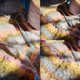 thumbnail image 2 of Xiao Hua Hilo acrílico de felpa suave y elegante para hacer pelo de muñecas, tejer a ganchillo y fieltrar con aguja | Bobinas de pelo rizado de lana de oveja cardada, mecha, fibra (100 g, A224), 2 of 4