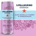 thumbnail image 6 of S.Pellegrino Essenza Dark Morello Cherry and Pomegranate Sparkling Mineral Water, 24 Cans, 6 of 9