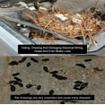 thumbnail image 7 of Mice/Mouse, Rat, Squirrel & Rodent Wire, Engine & Vehicle Protection Spray Prevents Chewing & Nesting for Cars, Trucks, RV's, ATV's. Great for Winter Protection. 128 OZ Gallon Ready to Use, 7 of 7