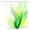 Color 6, variant on Polyester Shower Curtain With Green Leaf Design For Home Bathroom Bath Tub Decoration 72x72 inch